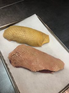 ~新しいラインナップ~