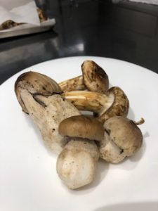 ~秋の食材~